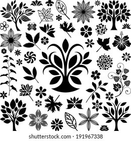 Collection of trees, plants and flowers