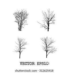 Collection of trees silhouette on vector style