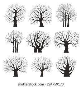 Collection of trees silhouettes