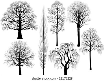 Collection of trees silhouettes