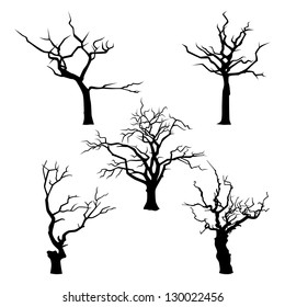 Collection of trees silhouettes. Black silhuettes of trees on a white background.