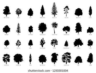 The collection of trees silhouettes isolated on white background. Big Vector cartoon set with sapling for forest landscape. Environment elements in flat style