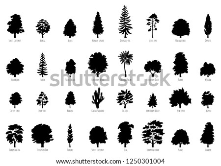 The collection of trees silhouettes isolated on white background. Big Vector cartoon set with sapling for forest landscape. Environment elements in flat style