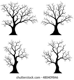 Collection of trees silhouettes on the white background