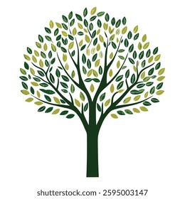 Collection of trees. tree set isolated on white backgroun