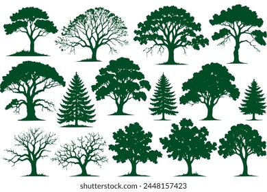 A collection trees in various sizes and shapes, with some of them being bare and others still green