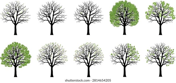 Collection of trees with varying degrees of foliage and leaf coverage