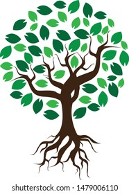 Collection of trees vector. Can be used to  any nature or healthy lifestyle topic.