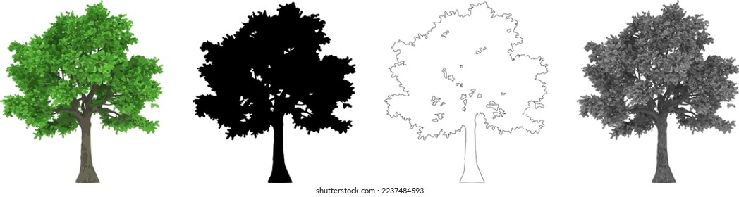 Collection Trees vector, tree silhouette, tree line art on White Background.