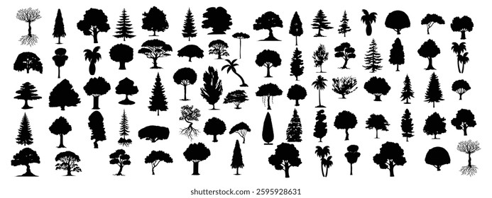 A collection of trees with a white background with a black and white background