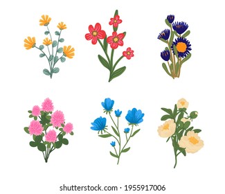 Collection of trendy flowers, wild herbs and decorative flowering plants isolated on white background. A set of elegant floral shrubs decorations. Colorful botanical vector illustration.