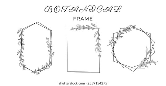 Collection of trendy hand drawn flowers. Frame for design. Minimalistic herbal botanical set of border. Single line. clip art.  Silhouette. Elements and shapes. Cut out. Speech bubbles. png. Circles