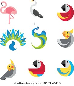 Collection of tropical birds , flat vector illustration.