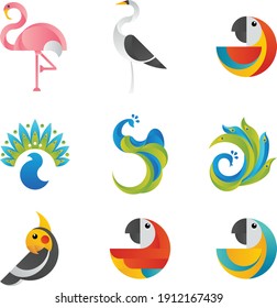 Collection of tropical birds, vector illustration.