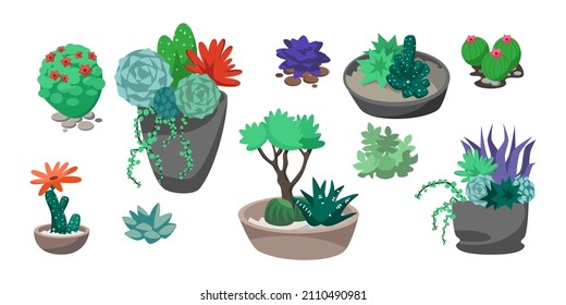 Sammlung von tropischen Kakteen, Blumen und Sukkulenten mit Steinen in Töpfen einzeln auf weißem Hintergrund. Hauspflanzenkartoon, Vektorgrafik-Set. Florarium, Terrarium, botanisches Innenkonzept