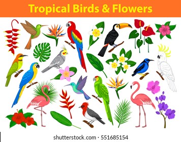 Coleção de aves exóticas tropicais, papagaios, flores e algumas folhas como colibri, azul e amarelo, arara-escarlate, papagaio amazônico, flamingos cor-de-rosa, cacatua, catateil, comedor de abelhas, cardeal brasileiro