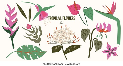 Collection of Tropical Flowers, foliage in a modern botanical flat style. Exotic Flame Lily, Anthurium, Fuchsia, Bird of Paradise, Heliconia, Monstera Leaf. Set of jungle plants. Vector Illustration