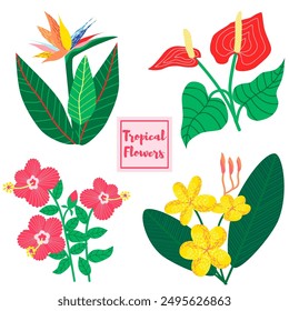 The collection of tropical flowers includes various types such as plumeria rubra, strelitzia, anthurium andraeanum, and hibiscuses. Hand-drawn vector isolated on a white background.