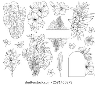 Collection of tropical flowers, leaves, plants, bouquets, frames, botanical line drawing, vector floral line art illustration for wedding, logo, advertising, packaging