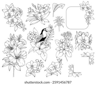 Collection of tropical flowers, leaves, plants, bouquets, frames, botanical line drawing, vector floral line art illustration for wedding, logo, advertising, packaging