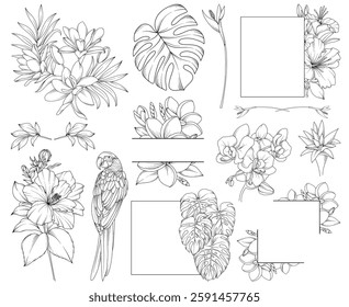Collection of tropical flowers, leaves, plants, bouquets, frames, botanical line drawing, vector floral line art illustration for wedding, logo, advertising, packaging