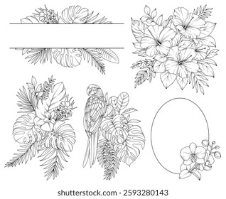 Collection of tropical flowers, leaves, plants, bouquets, frames, botanical line drawing, vector floral line art illustration for wedding, logo, advertising, packaging