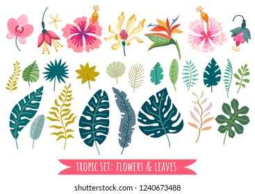 Colección de flores tropicales. Dibujo vectorial elementos florales de la selva tropical aislados en fondo blanco. Flora selvática brasileña en estilo plano. Verano Bouquet de flores tropicales hojas. Juego de Aloha.