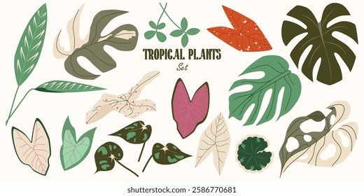 Collection of Tropical Foliage in a modern botanical flat style. Exotic Monstera, Caladium, Begonia, Ctenanthe, Aralia Balfour. Set of jungle plants. Vector Illustration