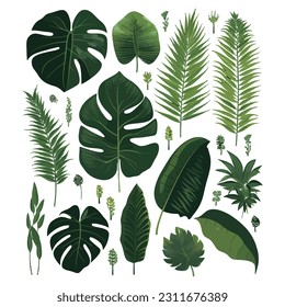 Collection of tropical foliage palm leaves, summer natural green leaves