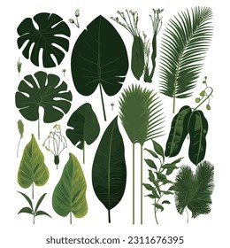 Collection of tropical foliage palm leaves, summer natural green leaves