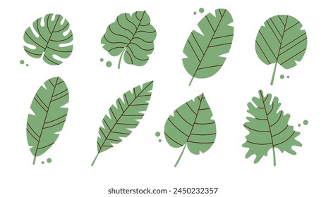 Collection with tropical green leaves. Palm leaves, monsters, bright jungle forest. Botanical vector illustration. Modern exotic design. Summer Journey. Tropical set of vector illustrations.