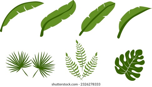 collection of tropical green leaves vector flat design.