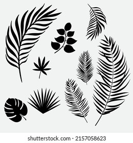 Colección de la silueta tropical de la ilustración vectorial.