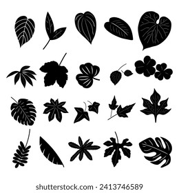 Collection of tropical leaf silhouettes