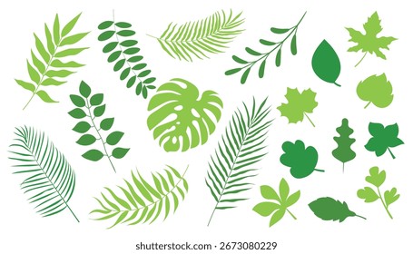Colección de siluetas de Vector de hojas tropicales en diferentes Formas sobre un fondo blanco para decoración e ilustración de Elementos gráficos