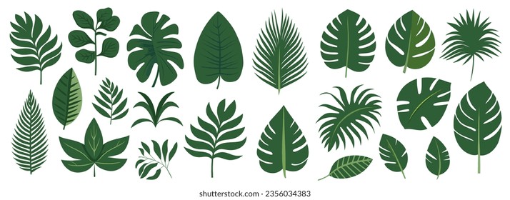 Collection of tropical leaves. Flat isolated elements on a white background. Vector illustration