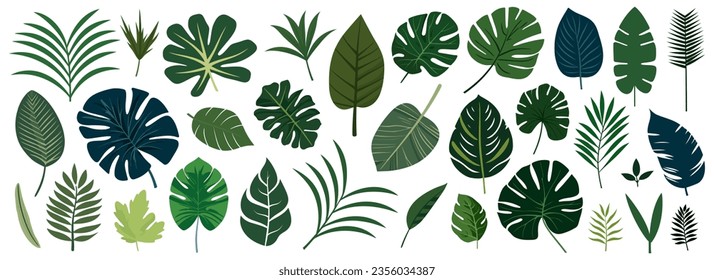 Collection of tropical leaves. Flat isolated elements on a white background. Vector illustration