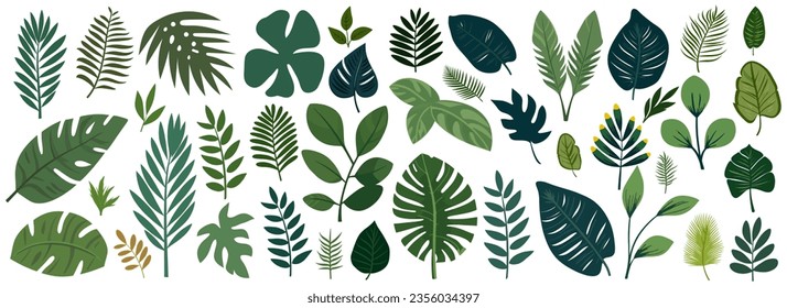 Colección de hojas tropicales. Elementos aislados planos sobre un fondo blanco. Ilustración del vector