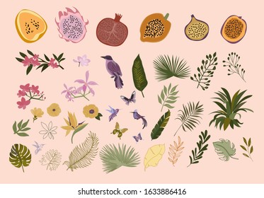 Collection of tropical leaves and flowers, fruits, birds and butterfly. Editable vector illustration.