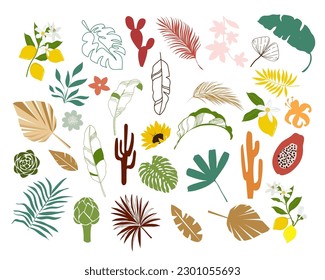 Collection tropical leaves and flowers. Modern set in flat style. Female summer portrait. Design for banner, poster, flyer, t-shirt print