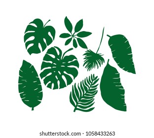 Set Tropical Leaves Summer Palm Leaf: vector de stock (libre de