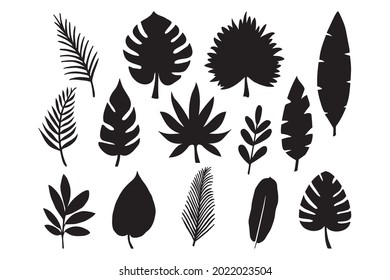 collection of tropical leaves in hand drawn vector illustration