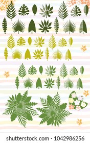Collection of tropical leaves, vector illustration leafs of areca palm, fan palm, babana, philodendron, monstera, fern