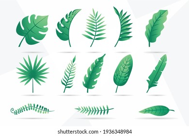 Collection of tropical leaves
Vector set of different green tropical palm leaves isolated on white background