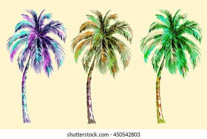 Collection tropical palm trees in watercolor style. Colorful. Vector, hand drawn. 