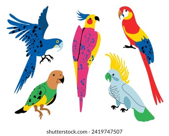 Collection of tropical parrots. Set of illustrations of cute cartoon parrots in bright colors. Vector isolated elements on white background.