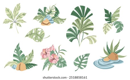 Collection of tropical plants, flowers and shrubs on white background. Botanical compositions in flat cartoon style. Children s illustration for design of clothes, stickers, wallpapers, greeting cards