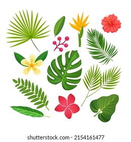 Collection of tropical plants and flowers. Vector isolated elements on the white background.