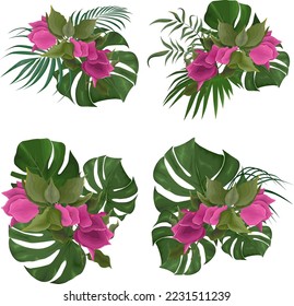 Collection of tropical plants on a white background. Pink bougainvillea, monster plant leaves, palm trees, tropical leaves. Tropical compositions 