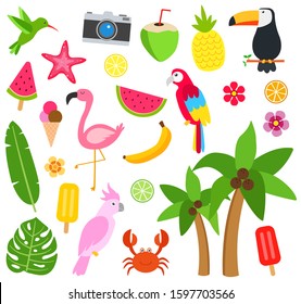 collection of tropical and summer things